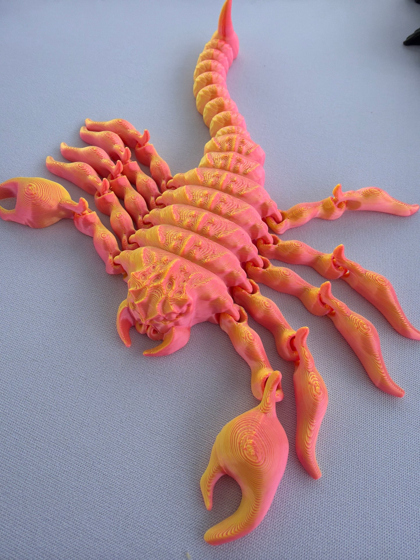 Scorpion