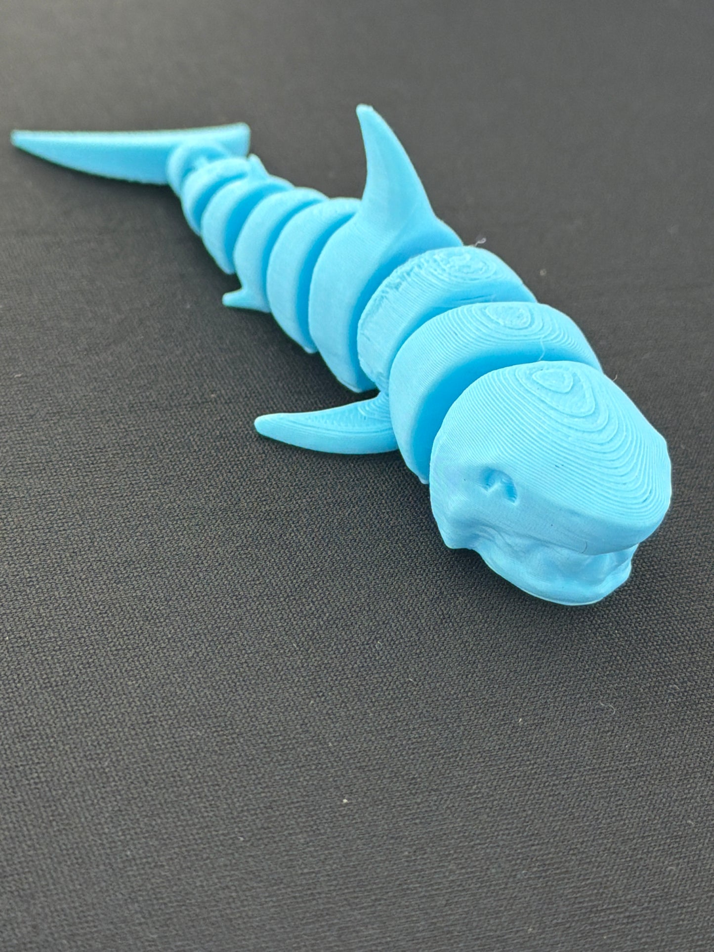 Shark